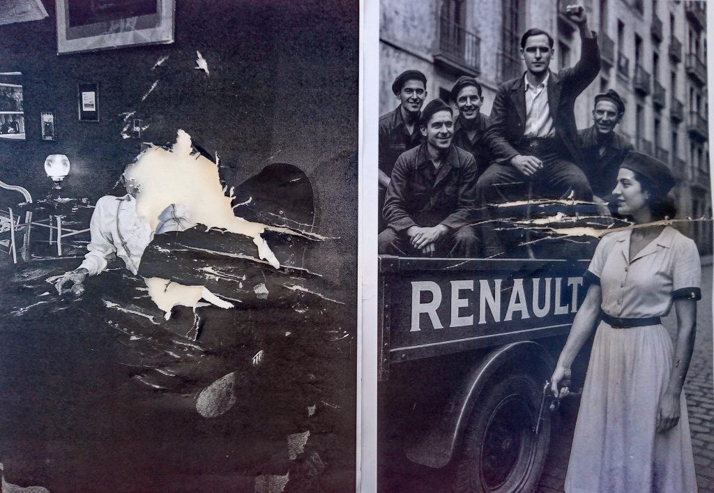 exhumacion copy right brisamp 2025