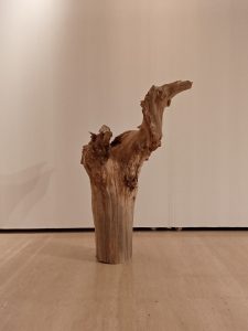 forest brisamp