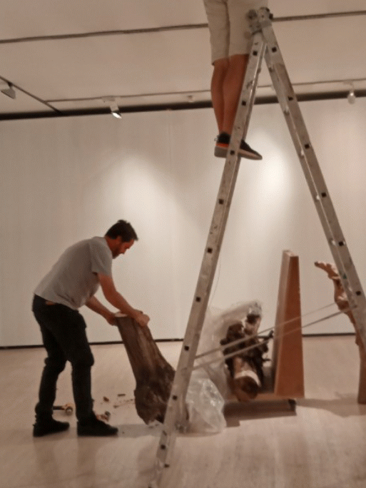 montaje exposicion mua forest