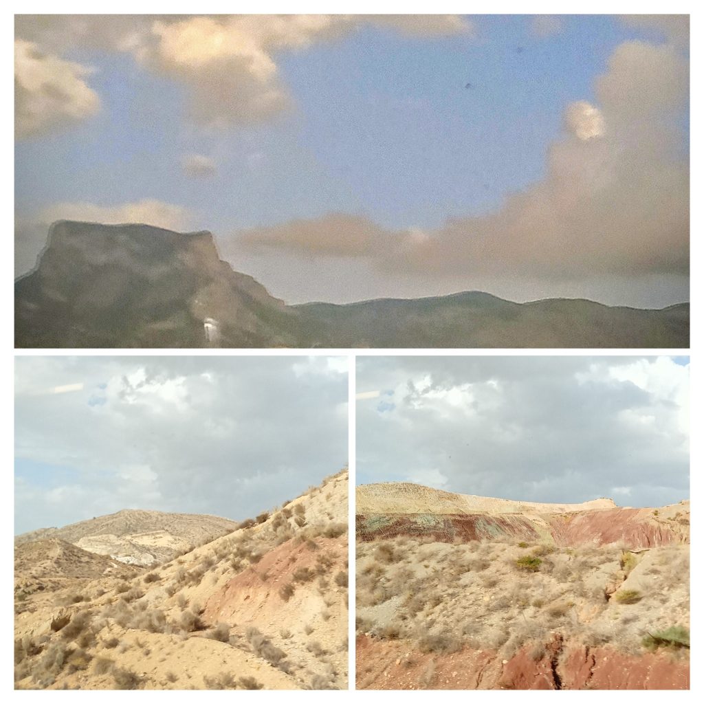 paisaje forest brisamp