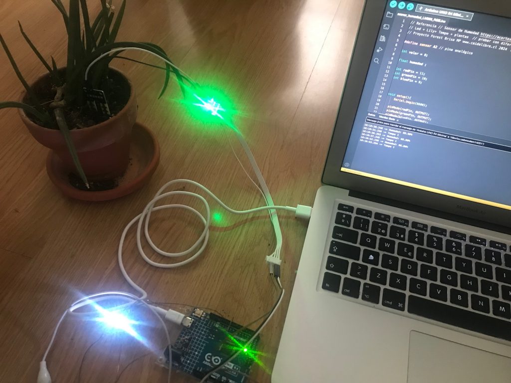 experimentos plantas sensores