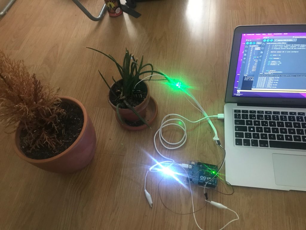 forest brisamp tecnologias