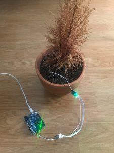 forest sensor humedad