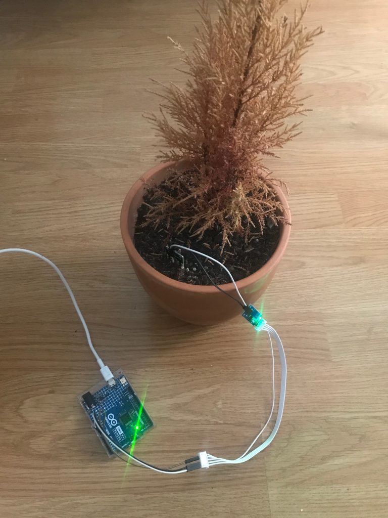 forest sensor humedad 