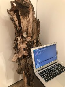 programando arduino la nona forest brisamp