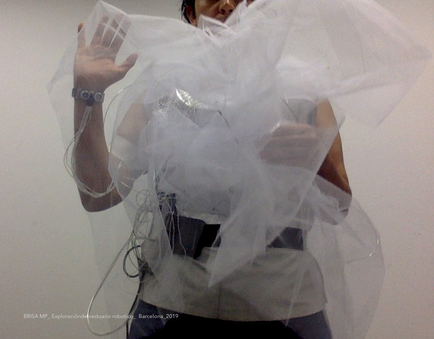 la bailarina brisamp 2019