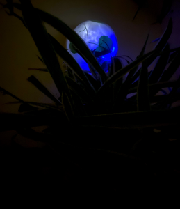 robotplant brisa